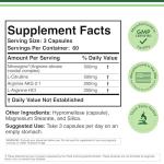 Stim-Free Nitric Oxide Booster with Nitrosigine – 180 Capsules