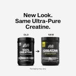 MuscleTech Platinum Pure Creatine Monohydrate Powder