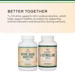 Stim-Free Nitric Oxide Booster with Nitrosigine – 180 Capsules