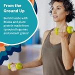 Garden of Life Vegan Protein Powder with Probiotics