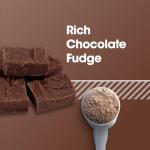 Optimum Nutrition Plant-Based Protein Powder, Rich Chocolate