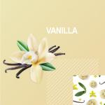 Gold Standard Protein Shake - Vanilla, 24g Protein