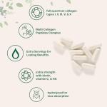 Micro Ingredients Multi Collagen Capsules, 240 Count