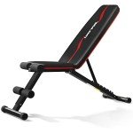 Adjustable Weight Bench for Full Body Workouts