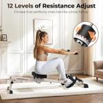 Feierdun Adjustable Rowing Machine for Home Workouts