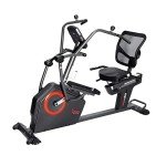 Sunny Health Fitness Recumbent Elliptical with Arm Exercises
