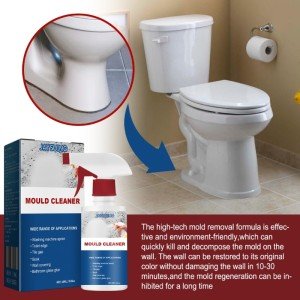 Eco-Friendly Mildew Removal Spray for Home Use