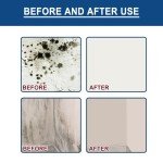 Eco-Friendly Mildew Removal Spray for Home Use