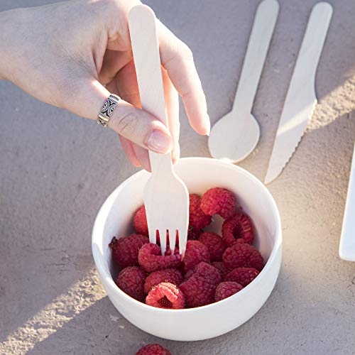 Compostable Wooden Cutlery Set - 300 pieces