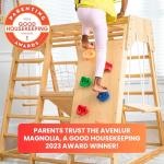 6-in-1 Indoor Playground Jungle Gym for Daycares