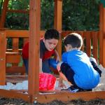 Skyfort II Cedar Wood Playground Set for Daycares