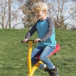 Gym Dandy Pendulum Teeter Totter Seesaw Set TT-320