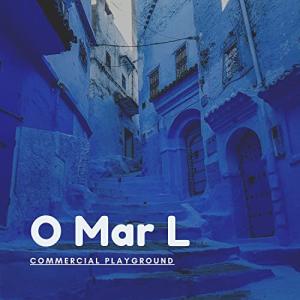 Commercial Playground