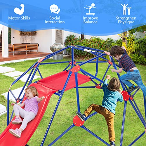 OLAKIDS 8FT Climbing Dome with Slide & Jungle Gym