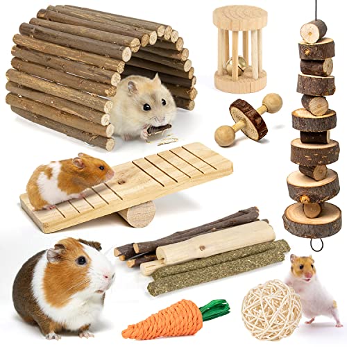 Natural Hamster Chews and Toys Set