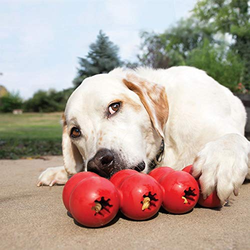 Durable KONG Toy for Medium Dogs