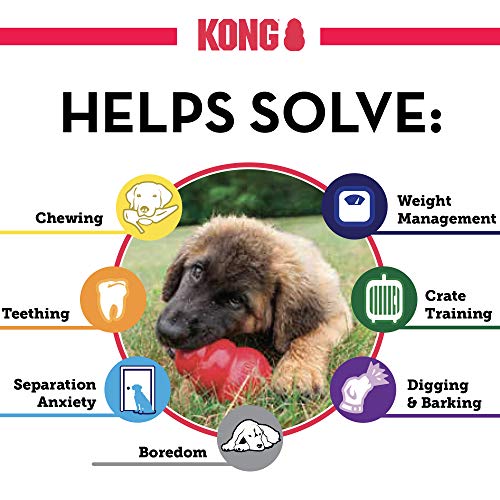 KONG Dog Chew Toy with Stuffed Rope - Medium
