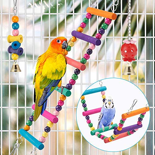 Colorful Parakeet Bird Toys & Equipment