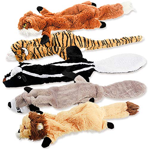 Squeaky Plush Dog Toys - 5 Pack