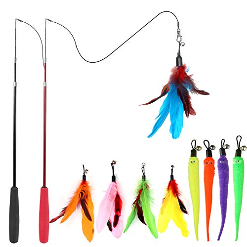 Indoor Cat Toys - Wand and Feather Set