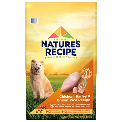Nature's Recipe Chicken & Rice Dog Food, 24lb