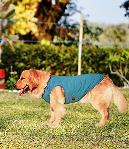 Breathable Pet Tank Top for Dogs, 2XL