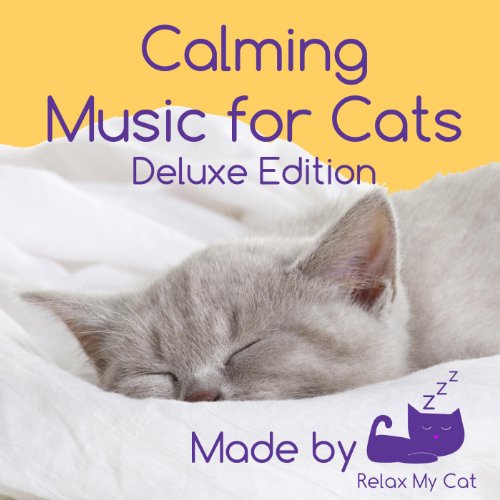 Calming Music for Cats - Reduce Anxiety During Fireworks, Sickness, Pregnancy, Grooming