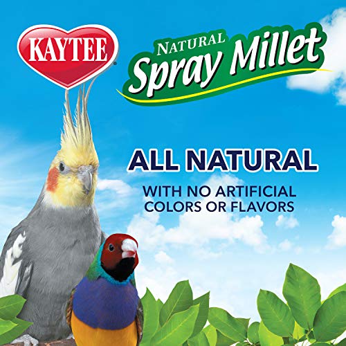 Kaytee Spray Millet Treat for Pet Birds, 7 Ounce