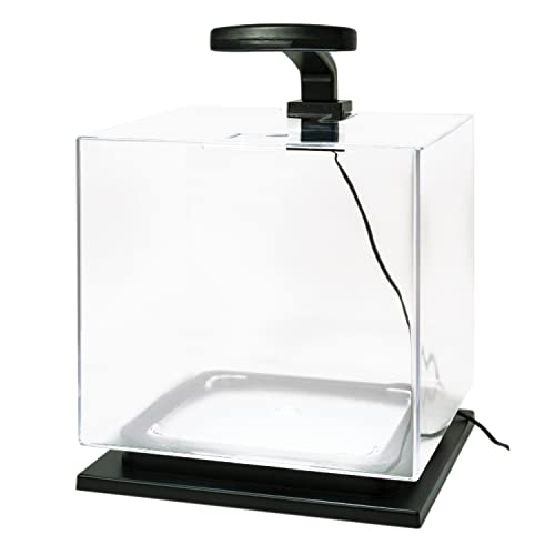 LED Cube Aquarium with Pedestal Base