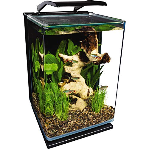 5 Gallon LED Aquarium Kit with hidden filtration