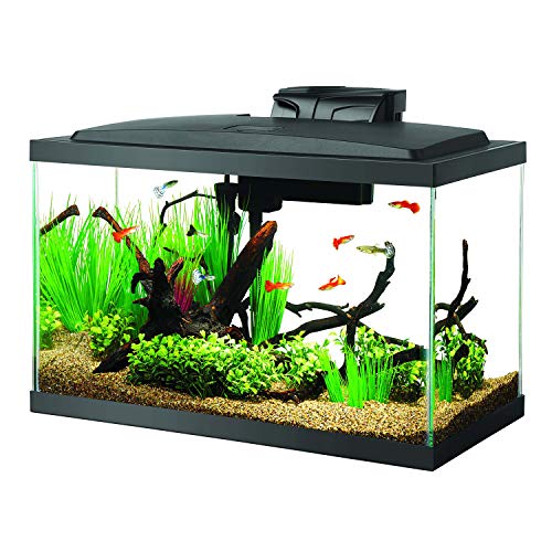 Aqueon 10 Gallon Fish Tank Kit with LED Lights