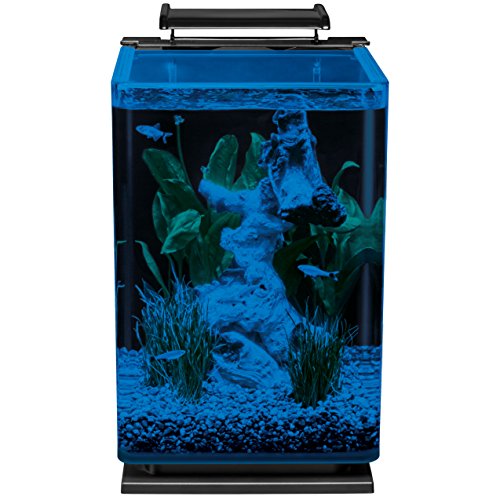 5 Gallon LED Aquarium Kit with hidden filtration