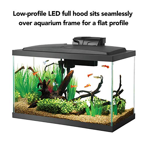 Aqueon 10 Gallon Fish Tank Kit with LED Lights