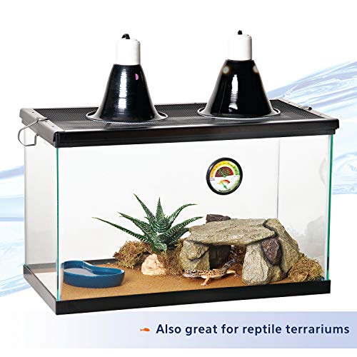 10-Gallon Glass Tank for Aquariums & Terrariums