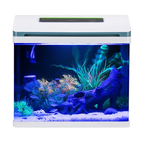 Betta Fish Tank Starter Kit w/LED Light & Filters