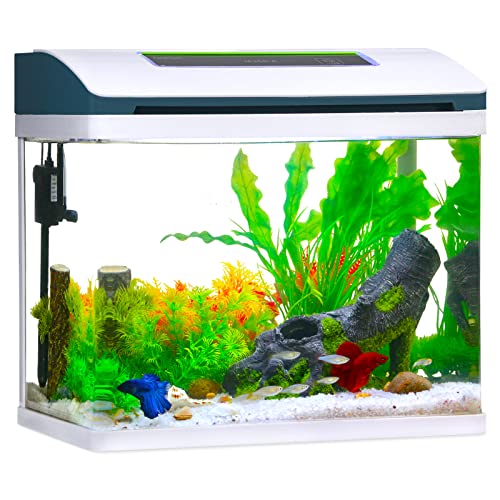 Betta Fish Tank Starter Kit w/LED Light & Filters