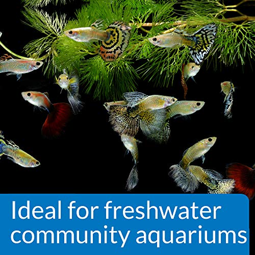 API Freshwater Aquarium pH Stabilizer, 8.8 oz