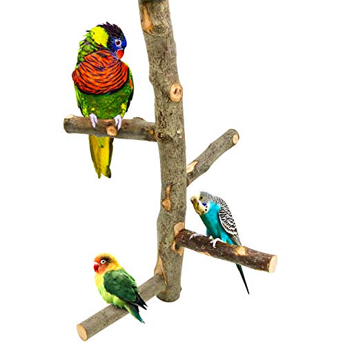 Apple Wood Bird Perch and Toy Set