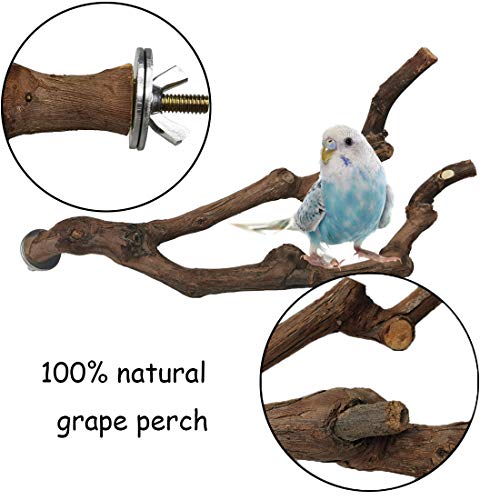 Natural Parrot Perch Set with Grape Stick