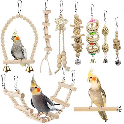 Parrot Swing & Chewing Toys for Birds
