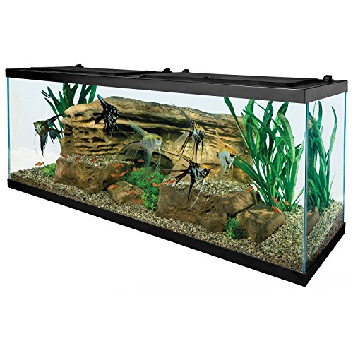 55 Gallon Aquarium Kit with Accessories