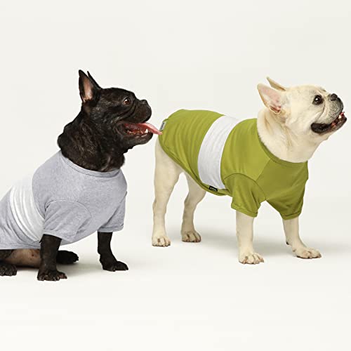 Color Block Dog Shirt for Summer - Large