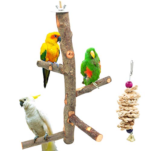 Apple Wood Bird Perch and Toy Set