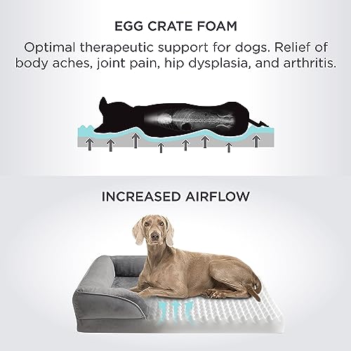 Orthopedic Medium Dog Bed - Removable Washable Cover