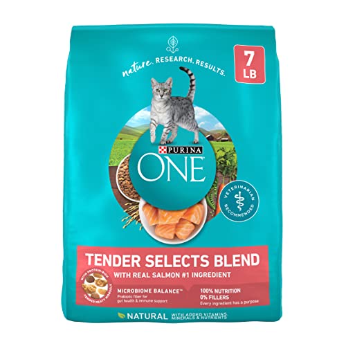 Purina ONE Natural Dry Cat Food, Tender Selects Blend With Real Salmon - 7 lb. Bag