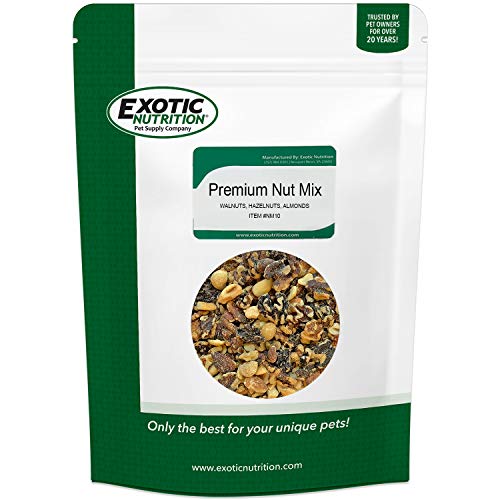 Exotic Nutrition Premium Nut Mix - Unroasted, Unsalted Walnuts, Hazelnuts, Almonds - Food & Treat for Grey Squirrels, Ground Squirrels, Flying Squirrels, Parrots & Other Small Pets (14 oz.)