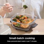 Ninja Crispi 4QT Air Fryer & Cooking System