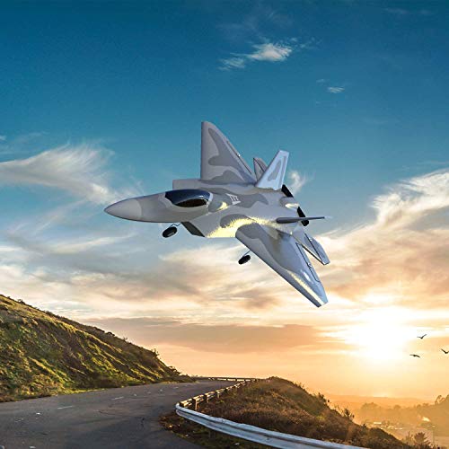 Top Race F-22 Raptor RC Fighter Jet