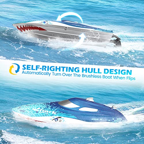 High-Speed RC Boat with Shark Graffiti and LED Lights