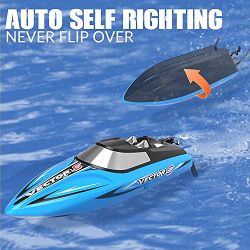 Fast Remote Control Brushless Boat for Adults